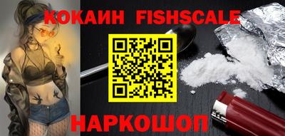 дмт Гай