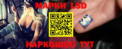 ешки Гатчина