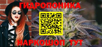 дмт Гай