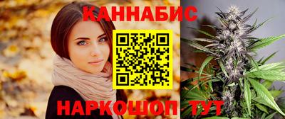 дмт Гай
