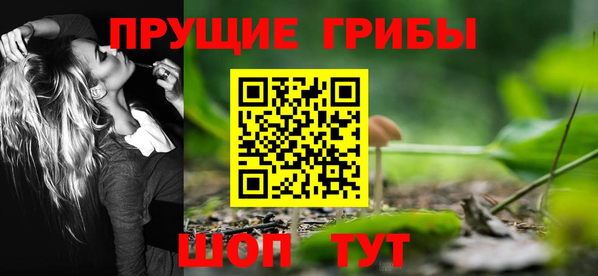 Галлюциногенные грибы мицелий Мыски